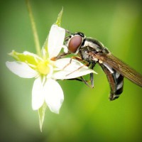 /album/auto-gpl/photolia-a02-jpg/